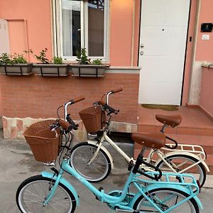 Vhouse Fiumicino